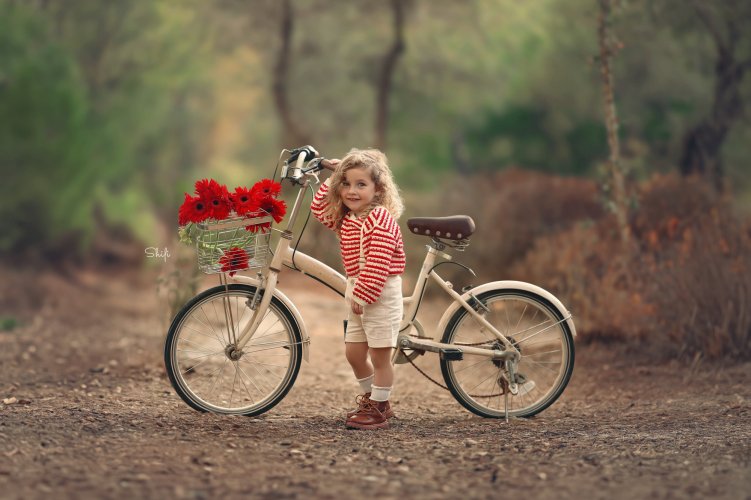 צילום שיפי 0548517049 (4).jpg