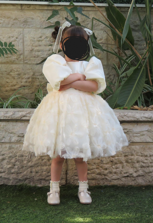 שמלה רייצל להשכרה.png