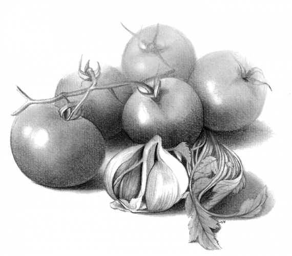 לייף סטטיל.png