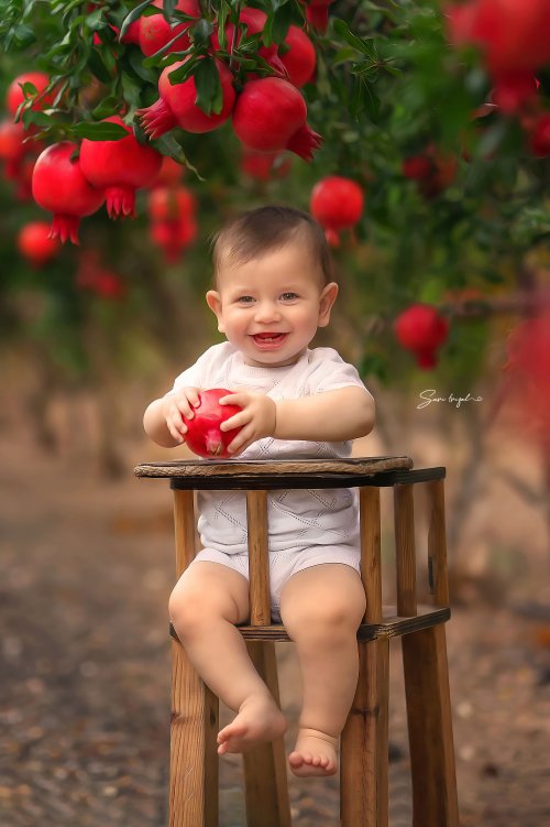 שרי פריזל צלמת 055-6786765 (11).jpg