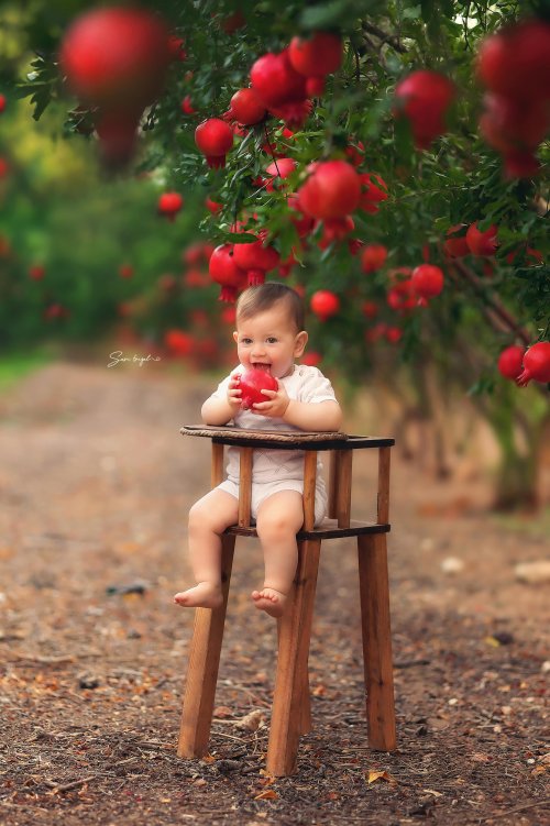 שרי פריזל צלמת 055-6786765 (9).jpg