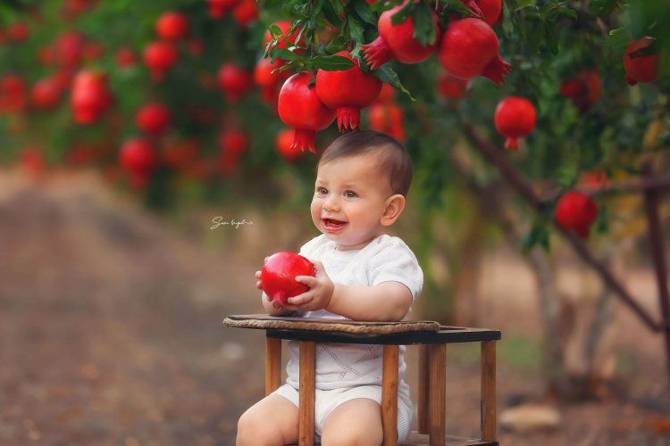 שרי פריזל צלמת 055-6786765 (10).jpg