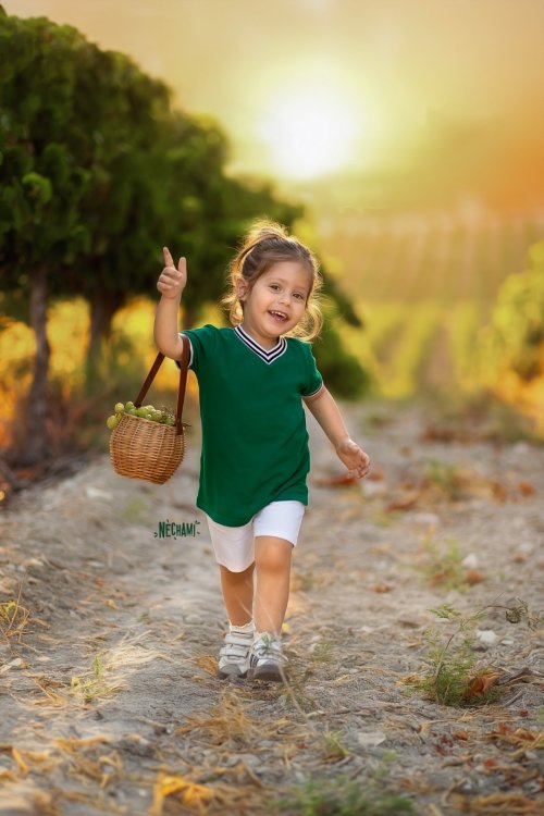 נחמיפרקש צילום 0556733034.jpg