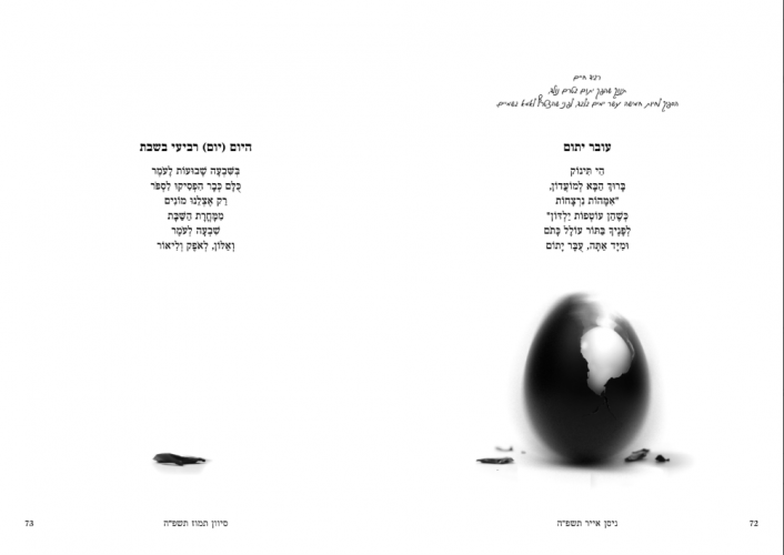 הדמיה עובר יתום.png