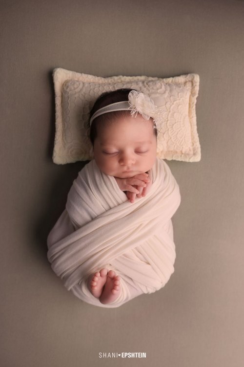 405A1727 לוגו.jpg