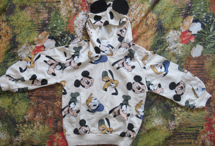 צילום מסך 2025-09-15 135741.png