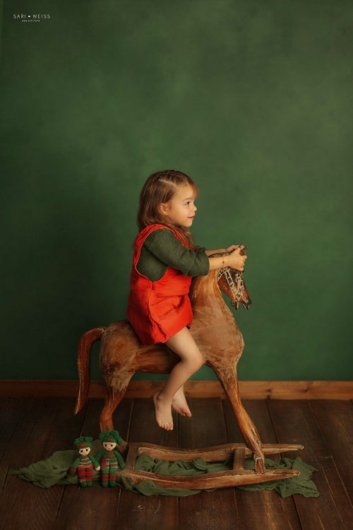 מפעל הפורמטים237A0250 copy מוק.jpg