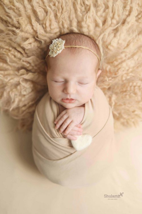 צילום שולמית 0548483863 (3).jpg