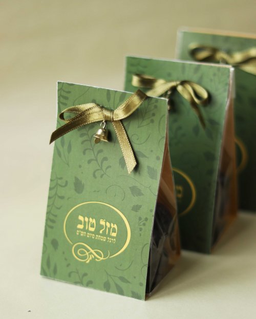 מיניבר סיום השס_4.jpg