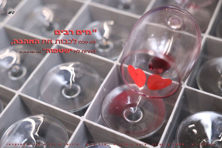 צילומי חתונות אדל גניש 2.jpg