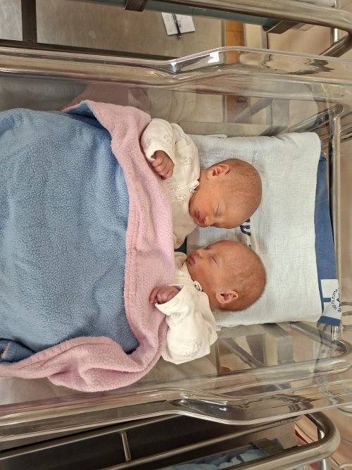 צלמת ניו בורן לתאומים