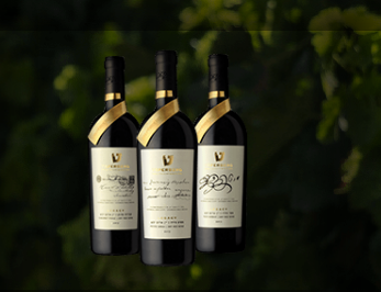 יינות- חוויה מעוררת חושים