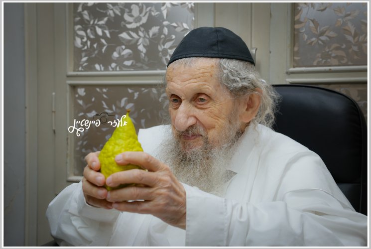 שמחה של מצווה