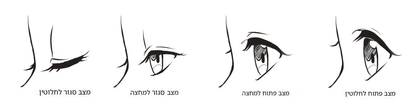 עין בפרופיל מגוון.jpg