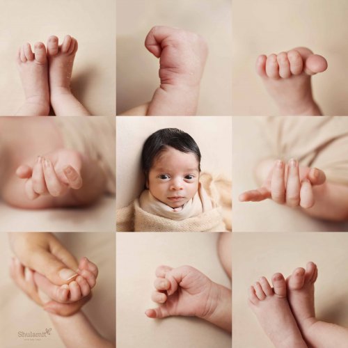 צילום שולמית 0548483863.jpg