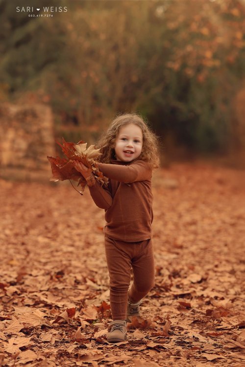 מפעל הפורמטים237A3225 copy מוקטן.jpg