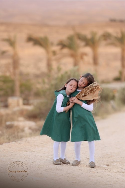 צילומסך דבורי הרשלר 0527143082 (10).jpg