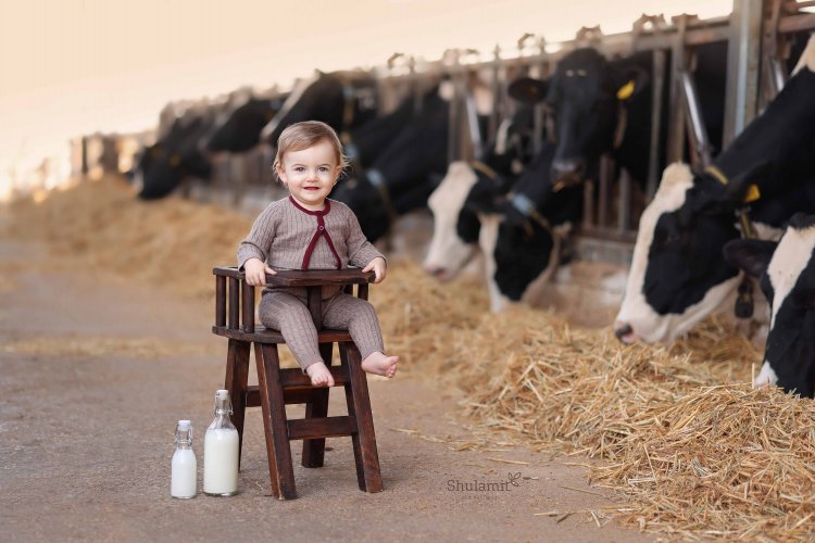 צילום שולמית 0548483863 (1).jpg