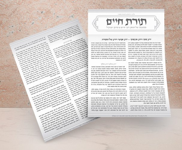 הדמיה עלון2.jpg