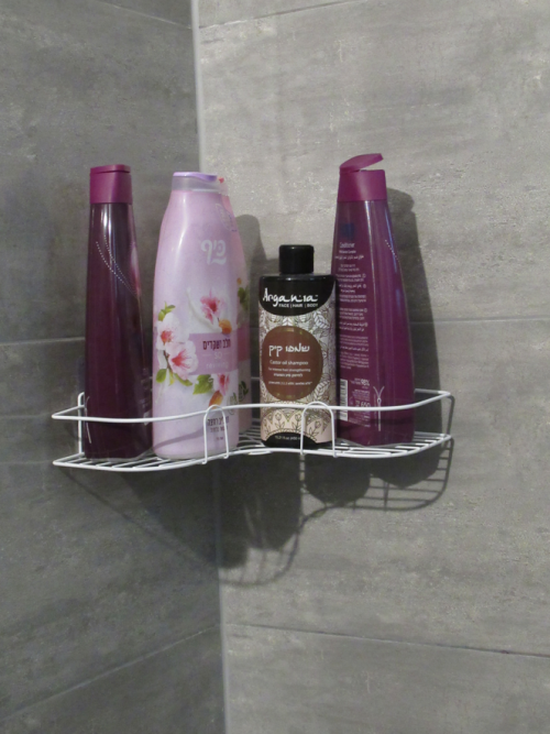 צילום מסך 2025-11-03 101953.png