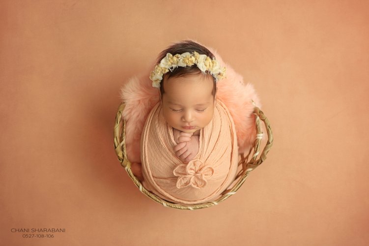 402A1659 copy 3.jpg צילום חני שרבאני 0527108106.jpg