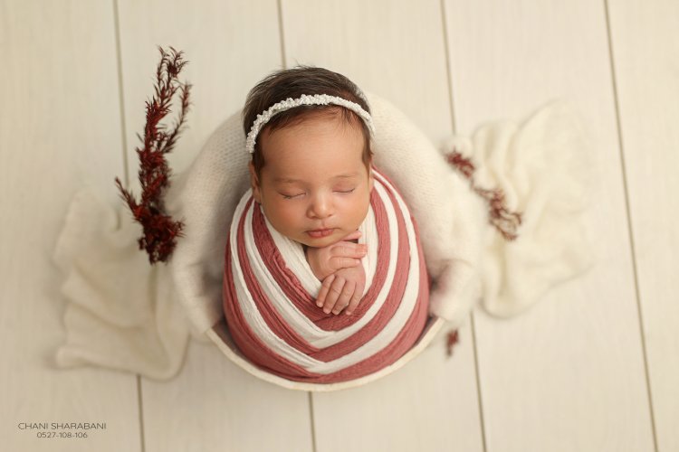 402A1703 copy 3.jpg צילום חני שרבאני 0527108106.jpg