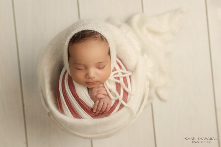 -402A1711 copy 3.jpg צילום חני שרבאני 0527108106.jpg