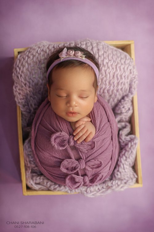 402A1718 copy 3.jpg צילום חני שרבאני 0527108106.jpg