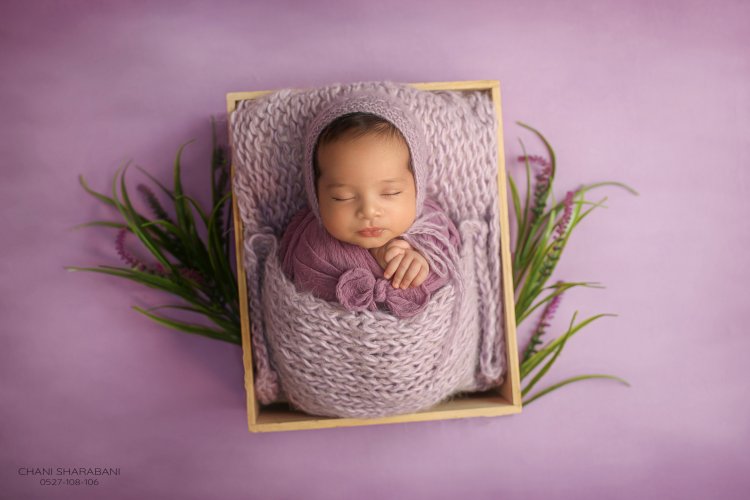 402A1729 copy 3.jpg צילום חני שרבאני 0527108106.jpg