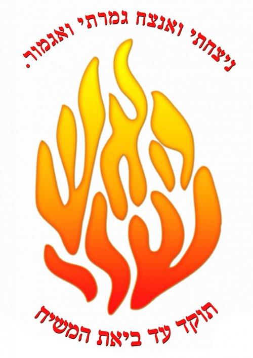 חולצה- צד אחורי- גב.jpg