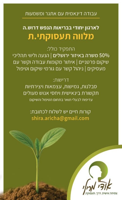 עבודה דינמית עם אתגר ומשמעות