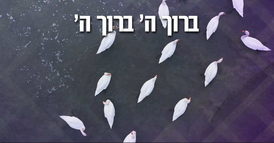 קריוקי שירי הודיה מטורף, תוכנית חנוכה מושלמת!!