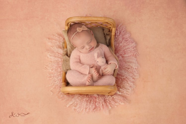 צילום אילה וויג 0548524765  (12).jpg