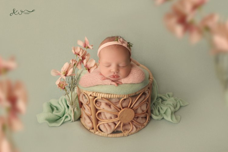 צילום אילה וויג 0548524765  (28).JPG