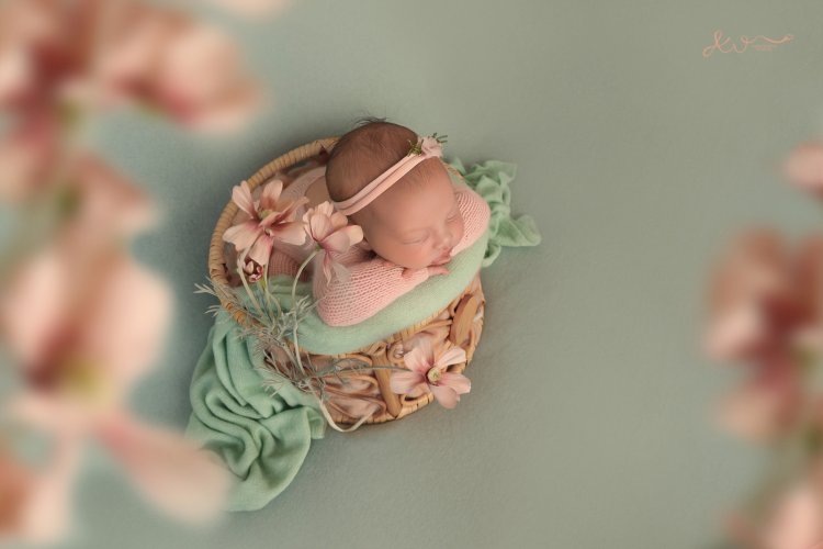 צילום אילה וויג 0548524765  (39).JPG