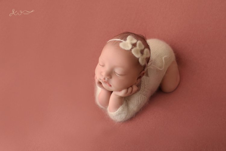 צילום אילה וויג 0548524765  (57).JPG