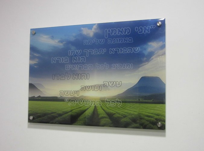 זכוכית השבוע- גודל 40-60 רק ב.............