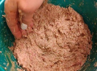 IMG_20251114_065341 (Mobile).jpg