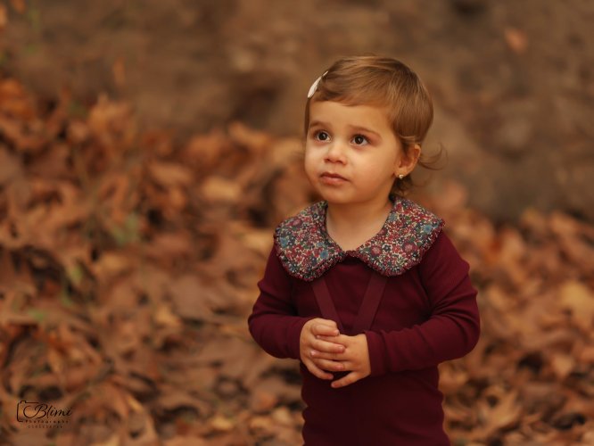 בלימי צילום0583258766.jpg.2.jpg