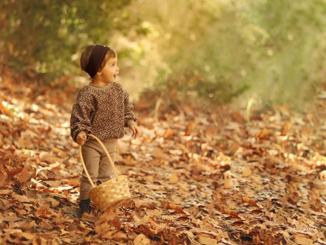 בלימי צילום0583258766.jpg.6.jpg