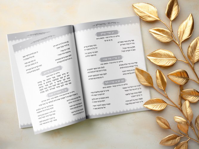 הכול נשאר במשפחה. הפונט שהפך למערכת עיצוב >>