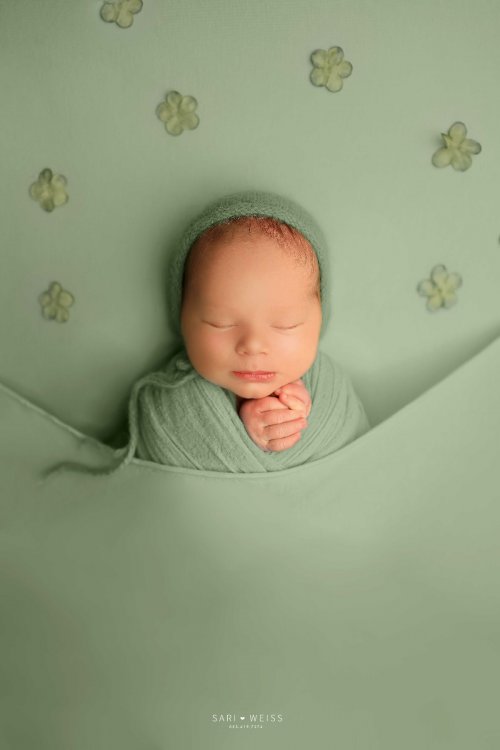 מפעל הפורמטים237A4088 copy מוק.jpg