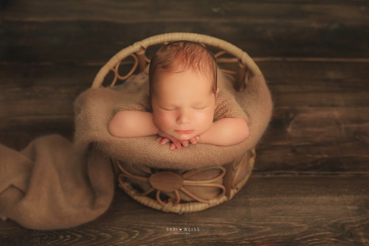 מפעל הפורמטים237A4163 copy מוק.jpg