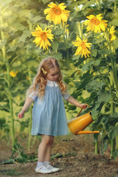 צילום שושי ליטר 0533116200.jpg