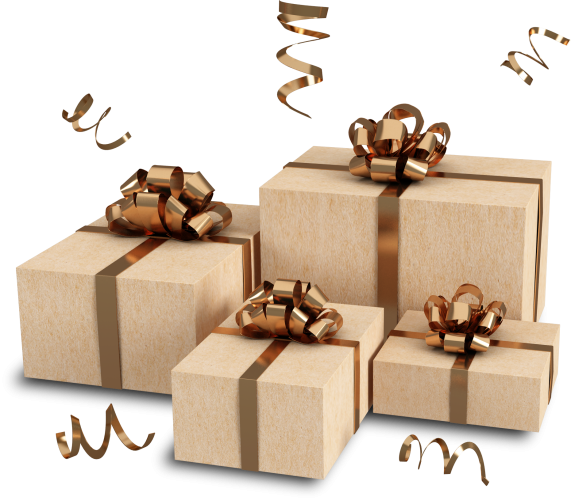 הבסיס של מעצב מקצועי מתחיל פה