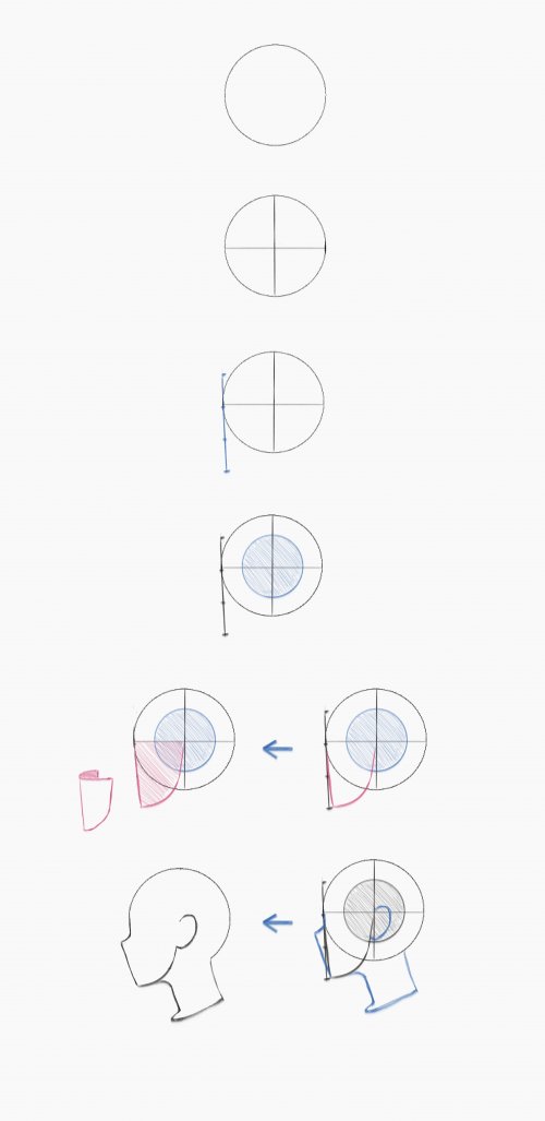 שיטת לומיס- פרופיל.jpg