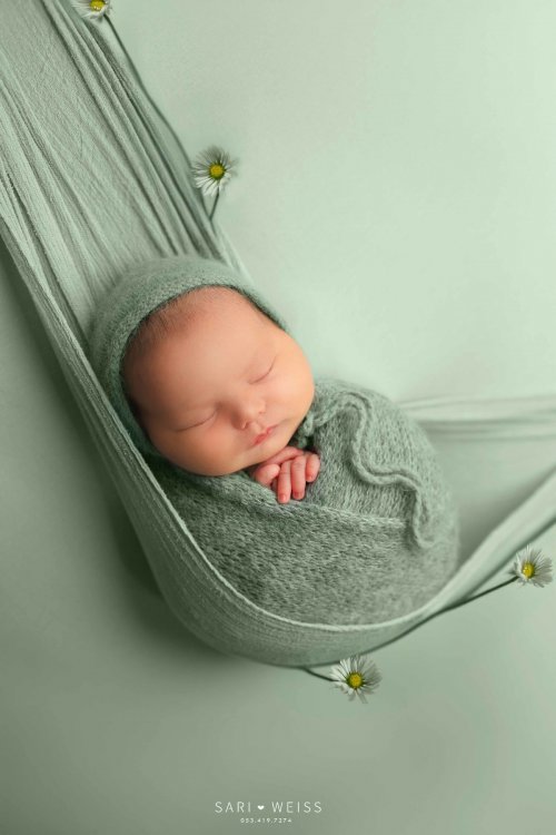 מפעל הפורמטים237A6985[1] copy מוק.jpg