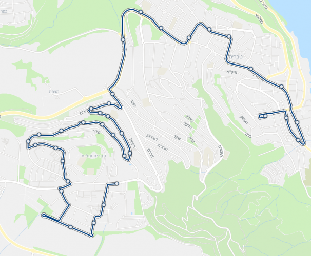 צילום מתוך אתר מוביט מפת קו 8.png