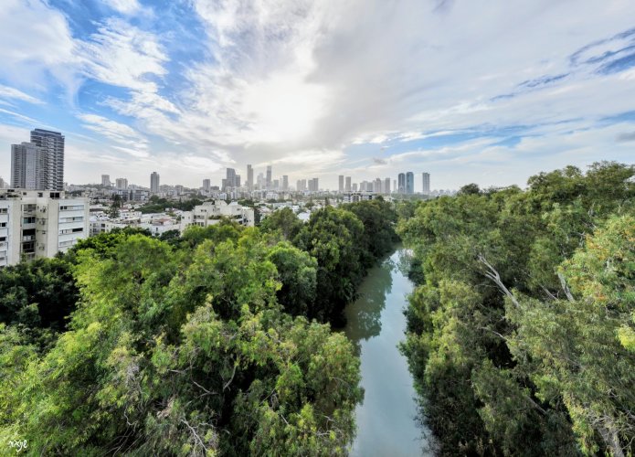 83799e43-aacd-4250-915c-0b120001a635~1 (גדול).jpg