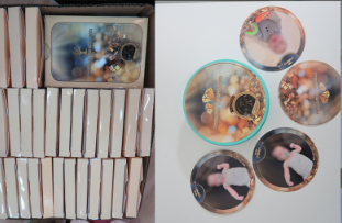 צילום מסך 2025-12-10 225111.png